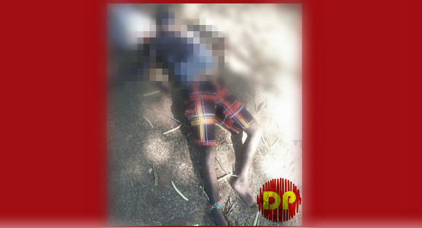 a20e9c87-f270-4b4a-b4af-8f363fa3864b