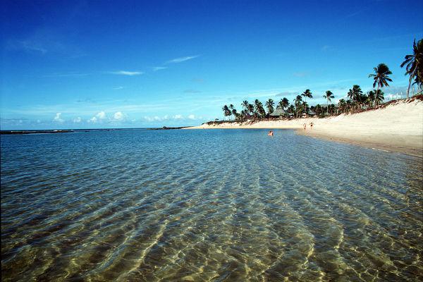 Praias pernambucanas que foram atingidas pelo óleo estão próprias ...