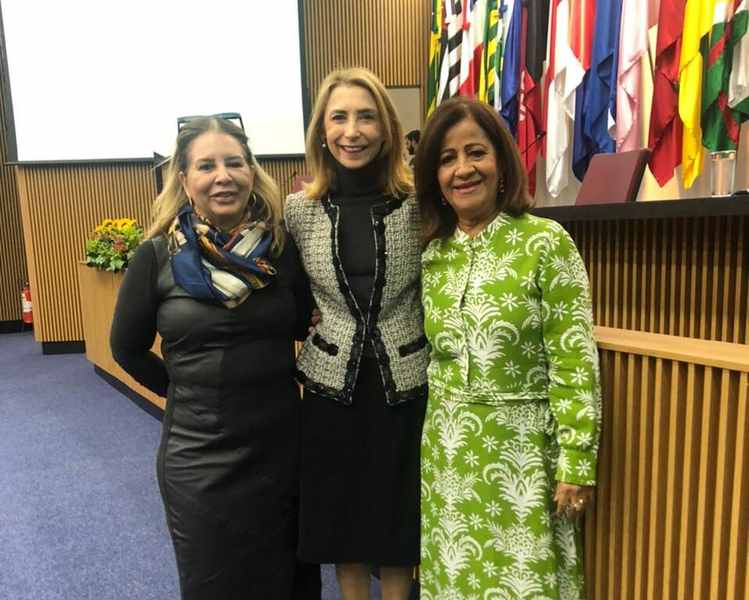 Amélia Pedra Brasília