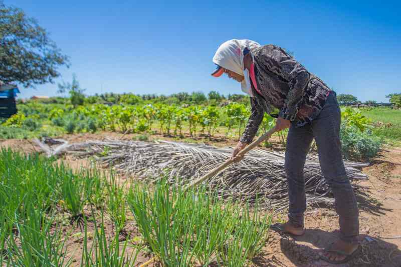 Medida provisória para agricultura familiar perde eficácia após não ser votada