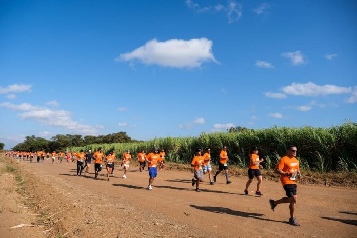 Agrovale, Canavial, Corrida, Juazeiro