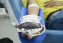 Lei cria campanha nacional para incentivar a doação de sangue em junho