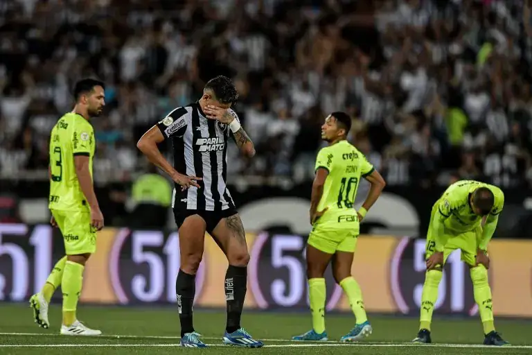 Palmeiras vence Botafogo em virada histórica no Nilton Santos