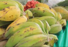 AMA divulga cotação de hortifrutigranjeiros comercializados no Mercado do Produtor nesta terça-feira (18)