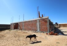 Petrolina: Com previsão de entrega para o primeiro semestre, canil/gatil municipal está com obras avançadas