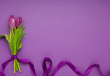 Março Lilás reforça prevenção ao câncer do colo do útero e destaca importância do diagnóstico precoce