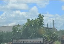 Petrolina+Limpa: Descarte irregular de resíduos resulta em multa e apreensão de veículo