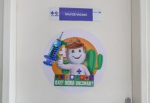 Dia D de Vacinação contra a gripe acontece nesse sábado em Petrolina