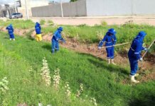 Equipes da Prefeitura seguem atuando em áreas afetadas pelas chuvas em Petrolina-PE