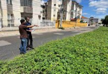 Terrenos baldios entram no radar da fiscalização e proprietários devem manter espaços limpos