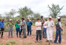 Visita técnica apresenta resultados de recuperação ambiental no Semiárido e fortalece cooperação entre estados do Nordeste
