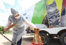 Abril Laranja: Prefeitura de Petrolina reforça combate aos maus-tratos contra animais