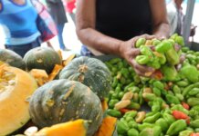 AMA divulga preços atualizados de hortifrutigranjeiros no Mercado do Produtor de Juazeiro nesta terça (28)