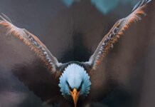 Polícia Civil desarticula laboratório de drogas e apreende mais de 11 kg de cocaína em Petrolina