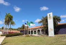 IFSertãoPE abre processo seletivo para contratação de professor substituto para atuação no campus Petrolina Zona Rural