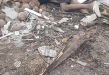Dois homens são encontrados mortos ao lado de estrada da zona rural de Petrolina