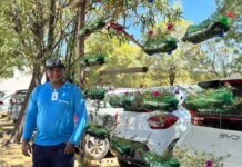 No HU-Univasf, beleza e leveza fazem parte de jardim feito com materiais recicláveis