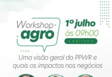 Nova regulamentação europeia sobre embalagens sustentáveis mobiliza setor de frutas e será tema de workshop