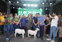 Pátio de eventos lotado marca 3 noite da II Expo Casa Inova e reforça força do desenvolvimento de Casa Nova