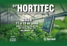 Fruticultura brasileira fortalece produção, consumo e presença internacional