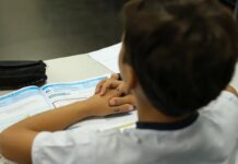 Conselho Nacional de Educação atualiza regras do ensino integral