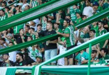Chapecoense x Avaí: horário e onde assistir à final da Copa Sul-Sudeste
