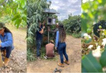 BeeINova transforma ciência em inovação e leva a polinização de precisão para o agronegócio do Vale do São Francisco