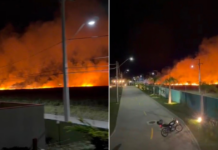 Vídeo: Incêndio de grandes proporções atinge área de mata no litoral do RS