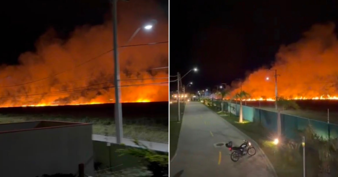 INCENDIO-MATA-RS-.png