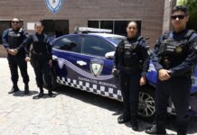 Ação integrada garante proteção à vítima e fortalece trabalho da Patrulha da Mulher
