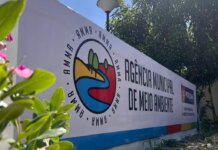 Prefeitura de Petrolina explica quando é necessário solicitar uma licença ambiental