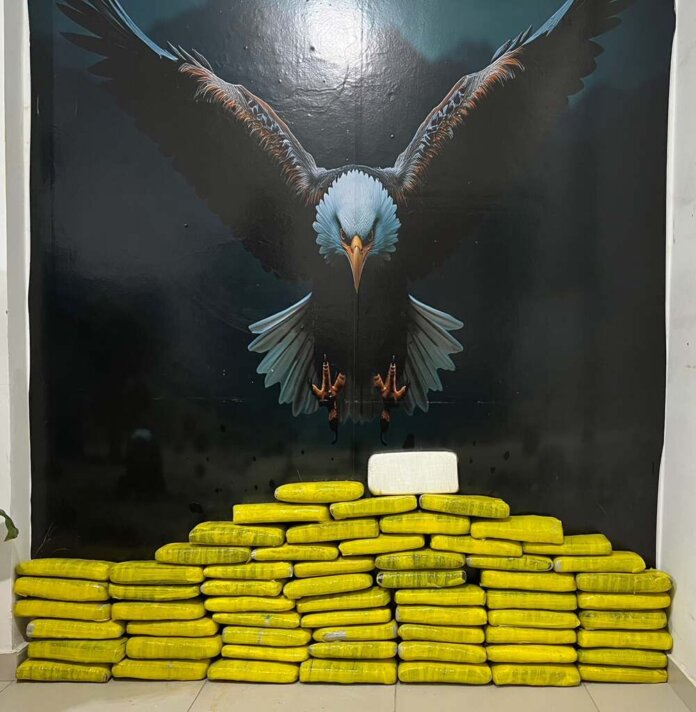 drogas30