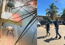 Guarda Civil Municipal identifica suspeito de atos de vandalismo no Centro de Juazeiro