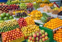 Sebrae-SP lança projeto de fruticultura com propriedades modelos na região de Bauru