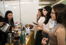 Pernambuco se torna o melhor estado do Nordeste e o terceiro do Brasil para empreender