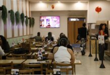Serviços ocuparam 15,9 milhões e pagaram média de 2,2 mínimos em 2024