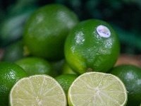 Cuba abre mercado para o limão brasileiro e amplia oportunidades para a fruticultura nacional