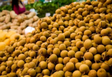 Conhecida como olho do dragão, fruta exótica pode virar aposta dos pomares