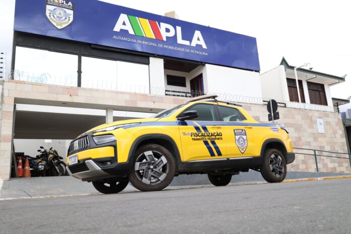 AMMPLA (15)