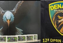 Polícia Civil apreende cerca de 7 kg de cocaína em encomenda nos Correios de Juazeiro