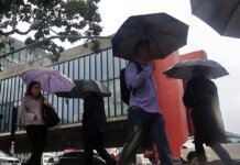 Chuvas em SP: cidades do Vale do Ribeira estão em estado de emergência