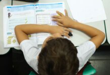 Censo Escolar: resultado preliminar está disponível no site do Inep