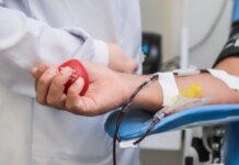 Hemope estará aberto no feriado de Finados para receber doadores de sangue Hemope estará aberto no feriado de Finados para receber doadores de sangue
