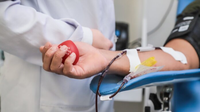 8EF825F6-E2F5-470C-9D6D-C9AFED5B7735-scaled.jpeg Hemope estará aberto no feriado de Finados para receber doadores de sangue