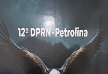 Operação integrada entre as polícias de Pernambuco e Piauí apreende cerca de 17 kg de drogas e prende suspeitos