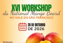 Workshop internacional vai discutir produção, qualidade e competitividade da manga no Vale do São Francisco